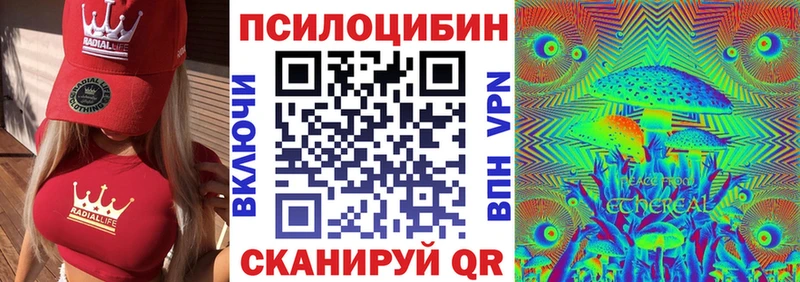 Купить где  Таштагол  Псилоцибиновые грибы Psilocybe 